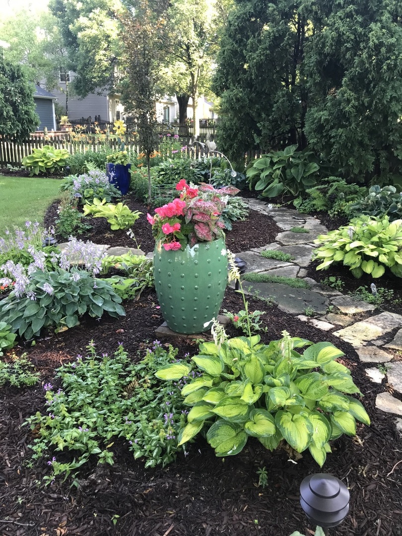 2238 Allegany Drive, Naperville, IL 60565