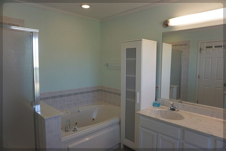 125 Rachel Avenue #505A, Willow Springs, IL 60480