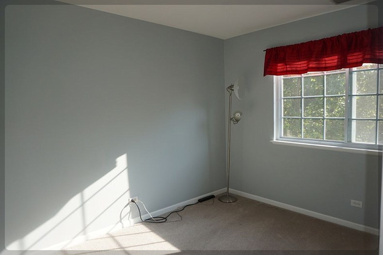 125 Rachel Avenue #505A, Willow Springs, IL 60480