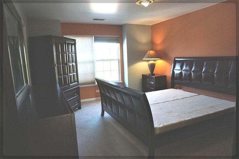 125 Rachel Avenue #505A, Willow Springs, IL 60480