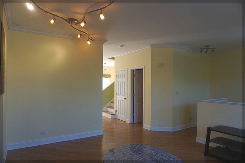 125 Rachel Avenue #505A, Willow Springs, IL 60480