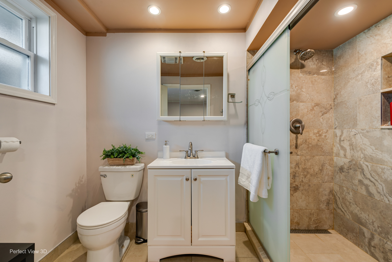 10817 S Oak Park Avenue, Worth, IL 60482