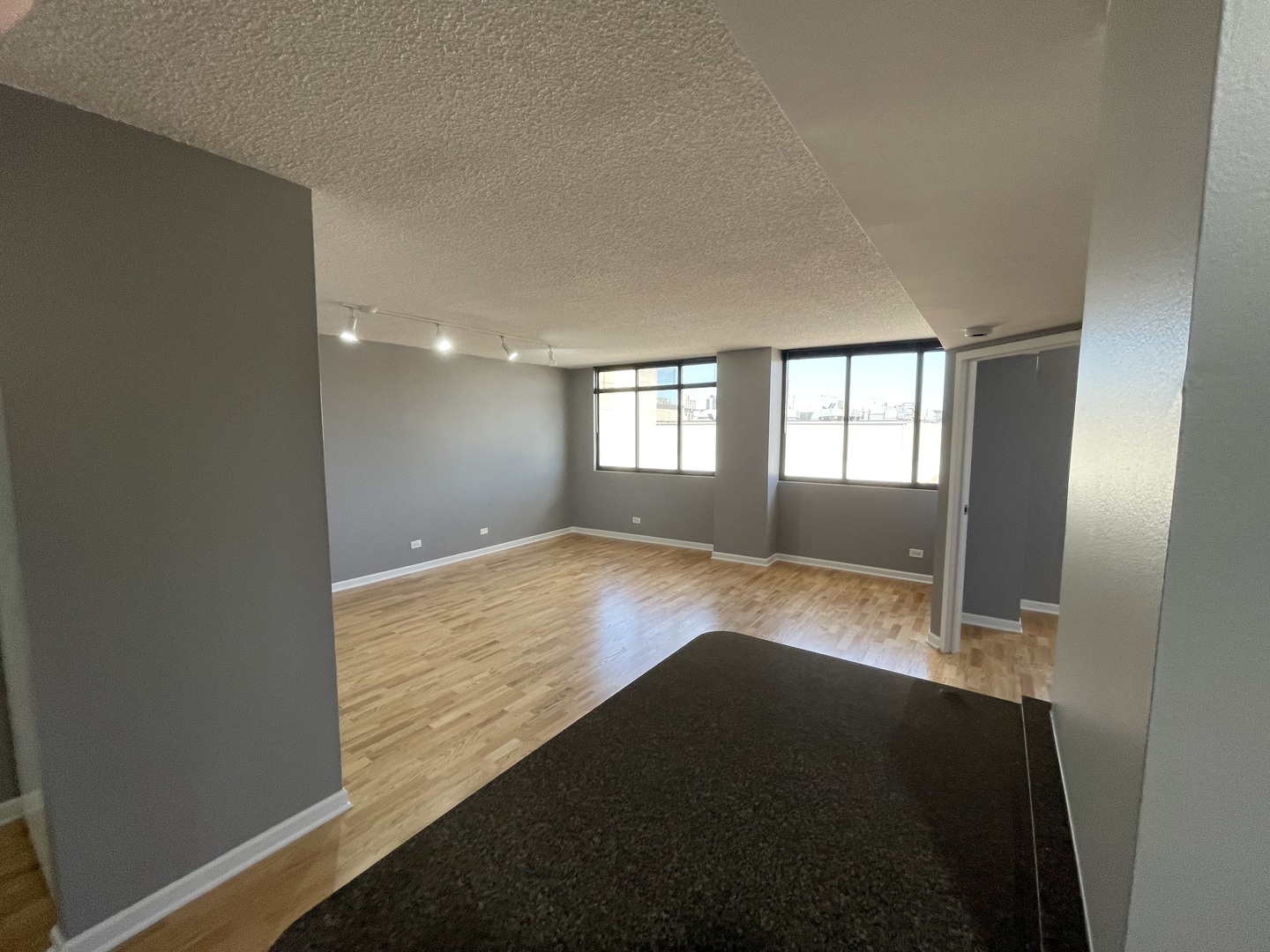 2800 N Orchard Street #910, Chicago, IL 60657