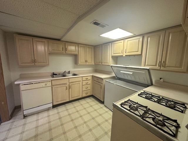 21220 Silktree Circle #21220, Plainfield, IL 60544