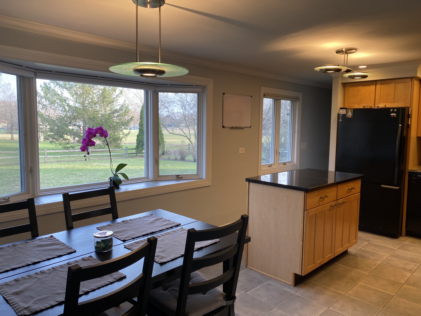 717 Slingerland Drive, Schaumburg, IL 60193