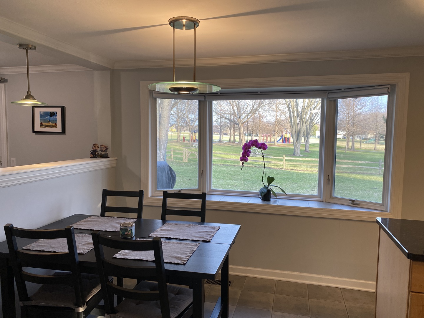 717 Slingerland Drive, Schaumburg, IL 60193