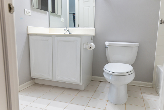 228 W Fairview Way, Palatine, IL 60067