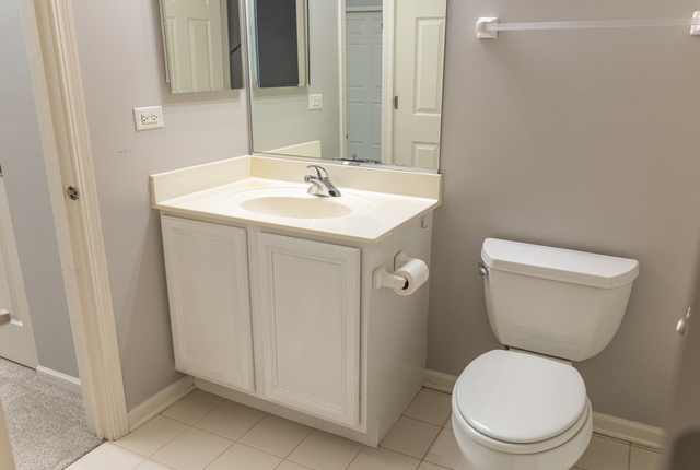 228 W Fairview Way, Palatine, IL 60067