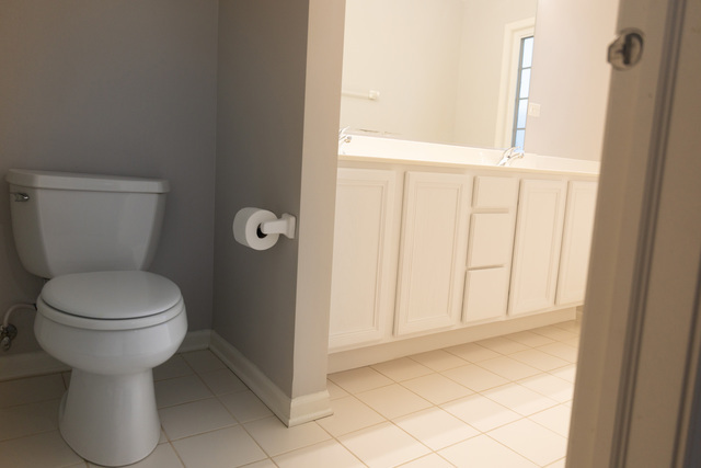 228 W Fairview Way, Palatine, IL 60067