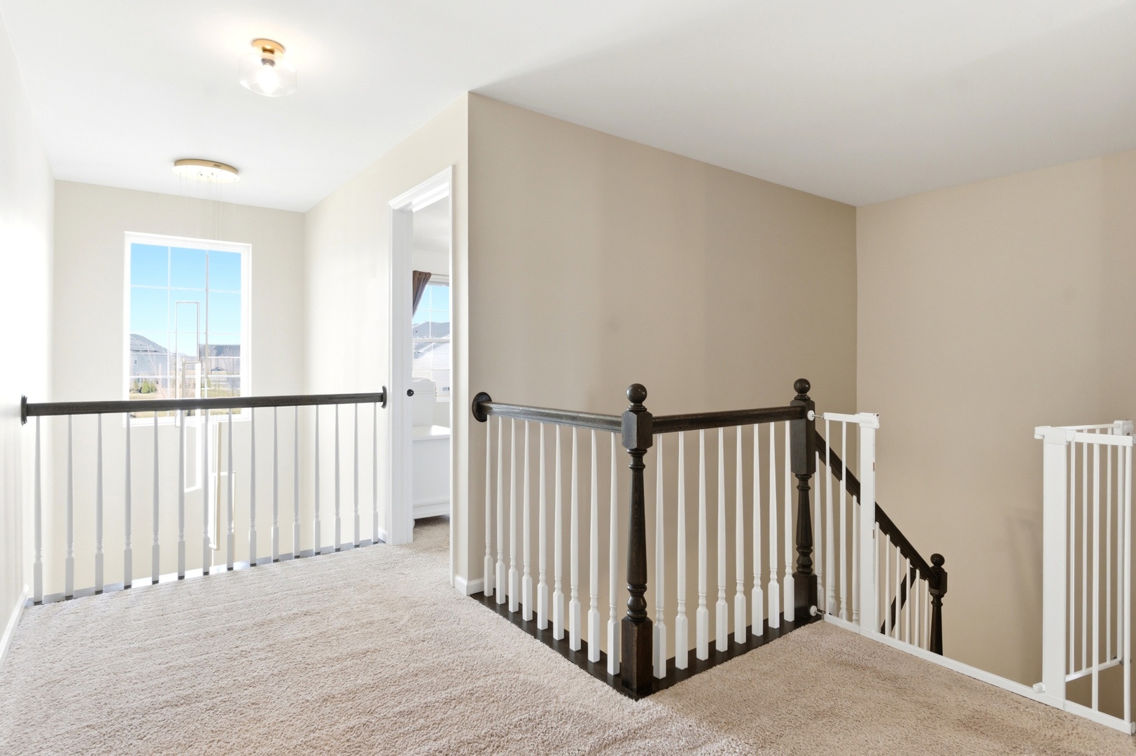 12610 S Cherry Blossom Boulevard, Plainfield, IL 60585