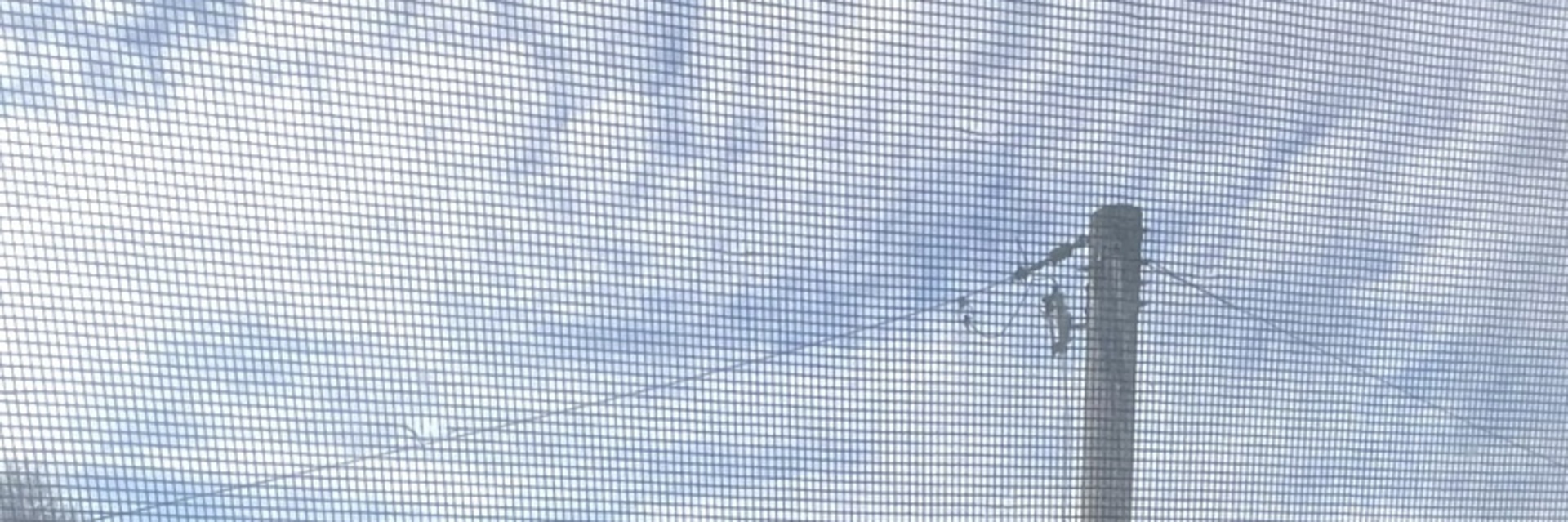 527 W 76th Street, Chicago, IL 60620