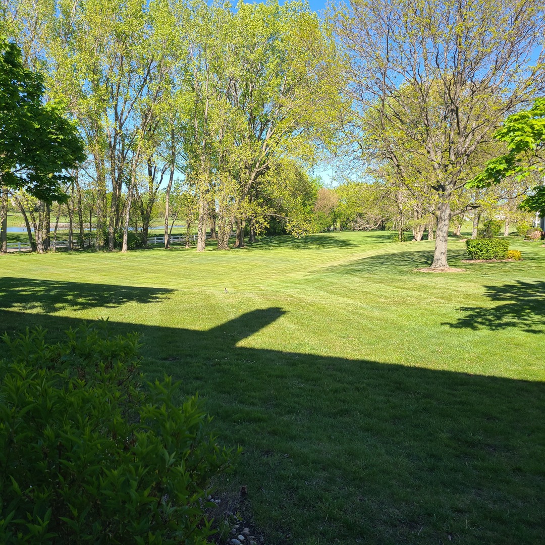 Elk Grove Village, IL 60007