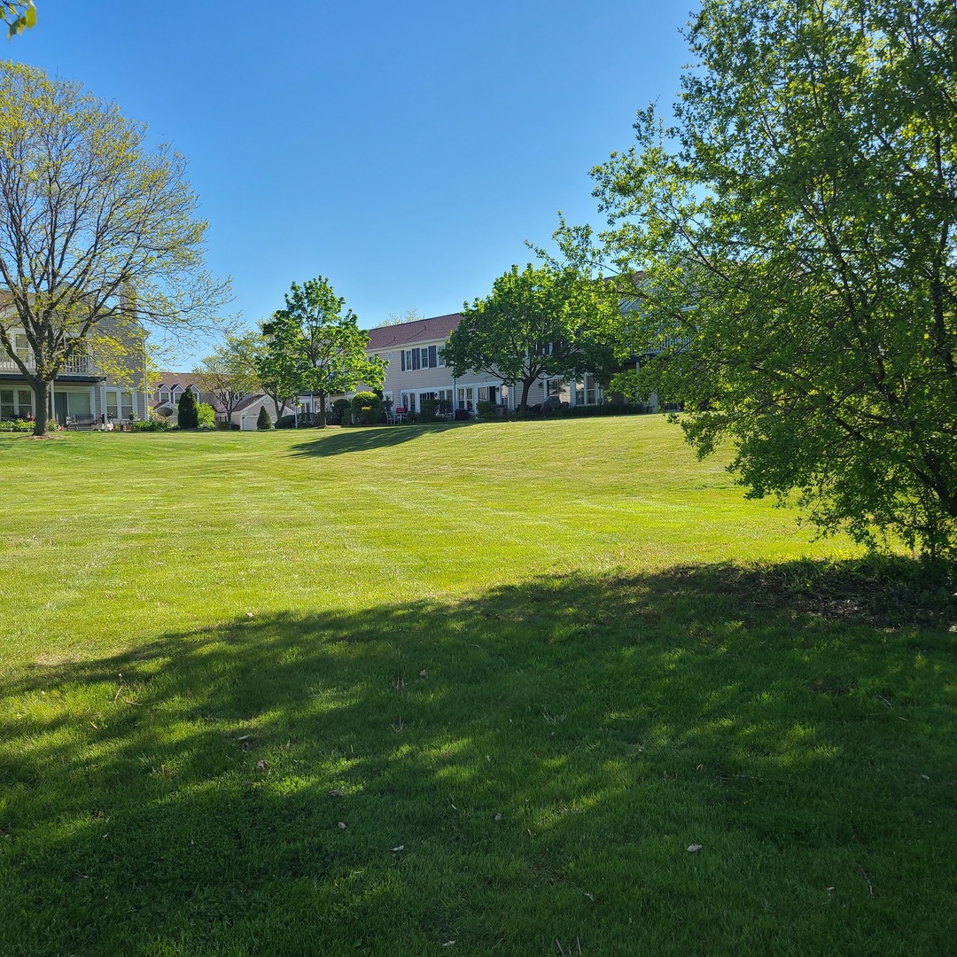 Elk Grove Village, IL 60007