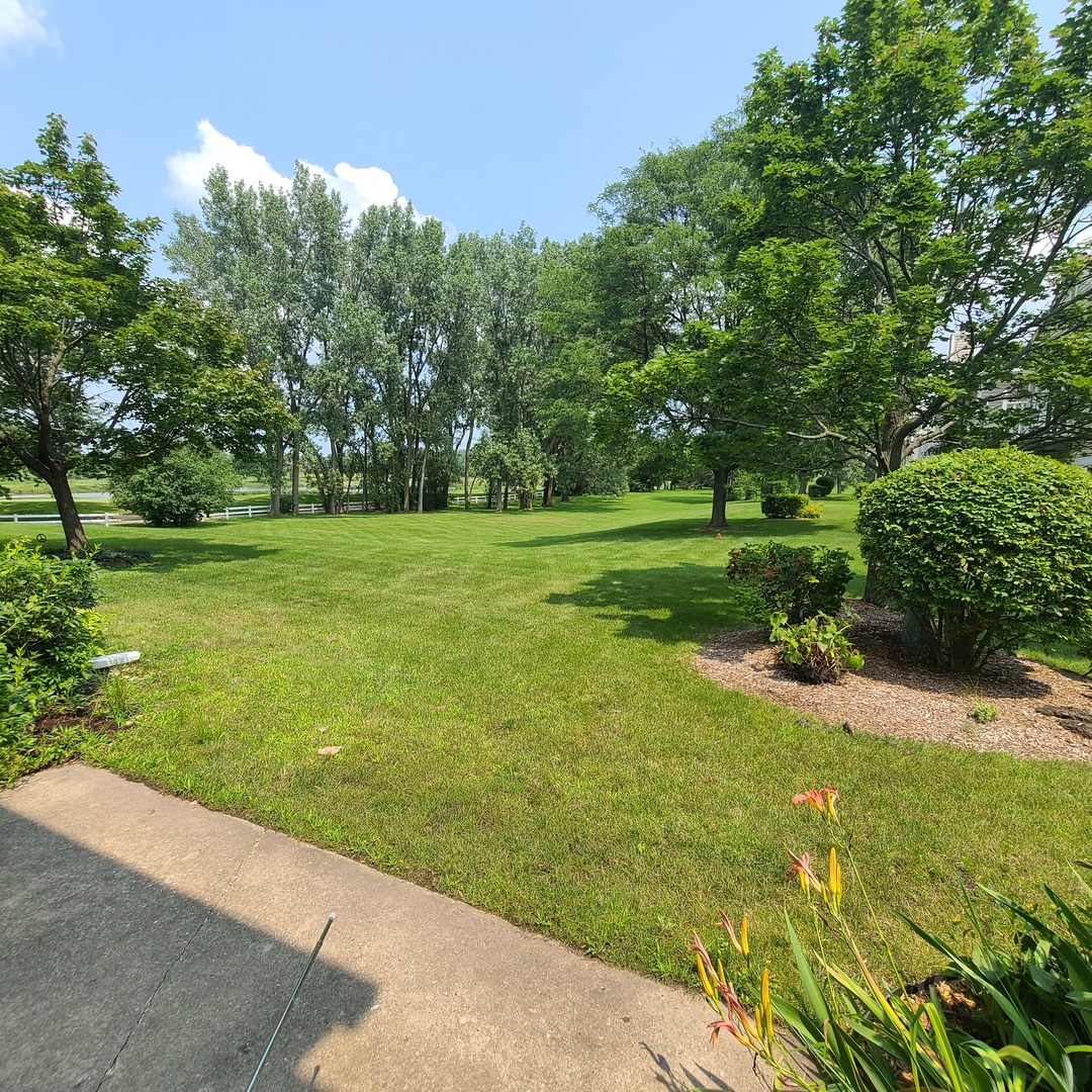 Elk Grove Village, IL 60007