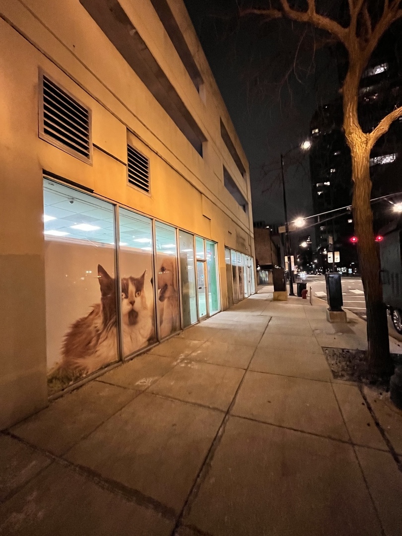 1201 N Wells Street, Chicago, IL 60610