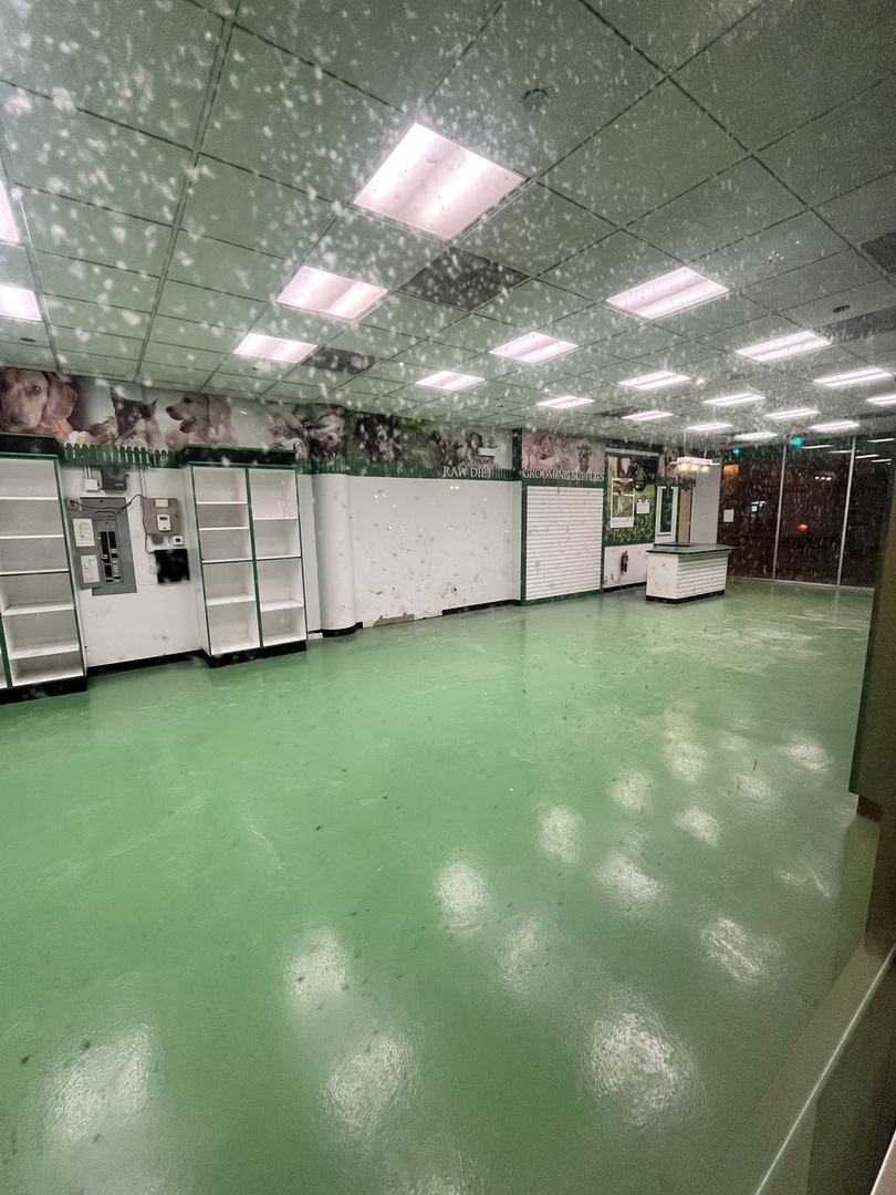 1201 N Wells Street, Chicago, IL 60610