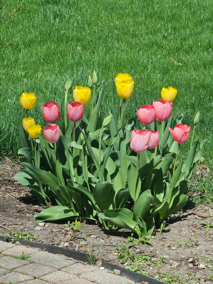 4 Athens Court, Vernon Hills, IL 60061