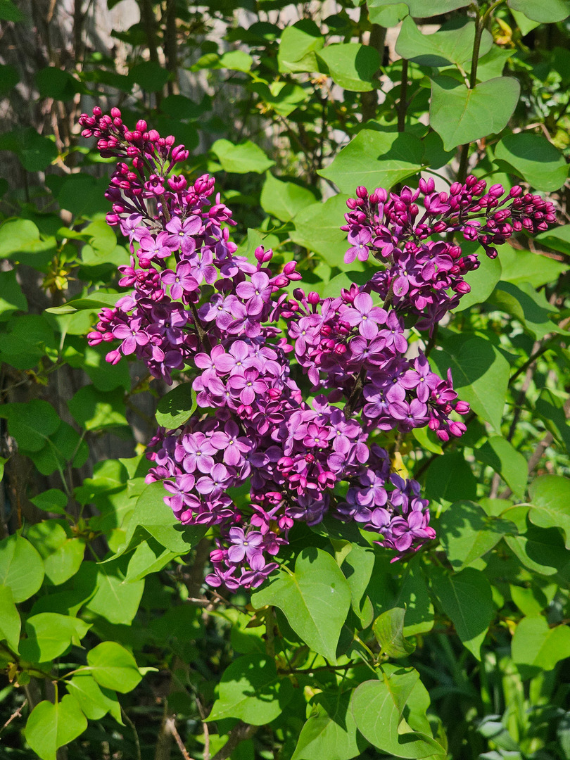 4 Athens Court, Vernon Hills, IL 60061