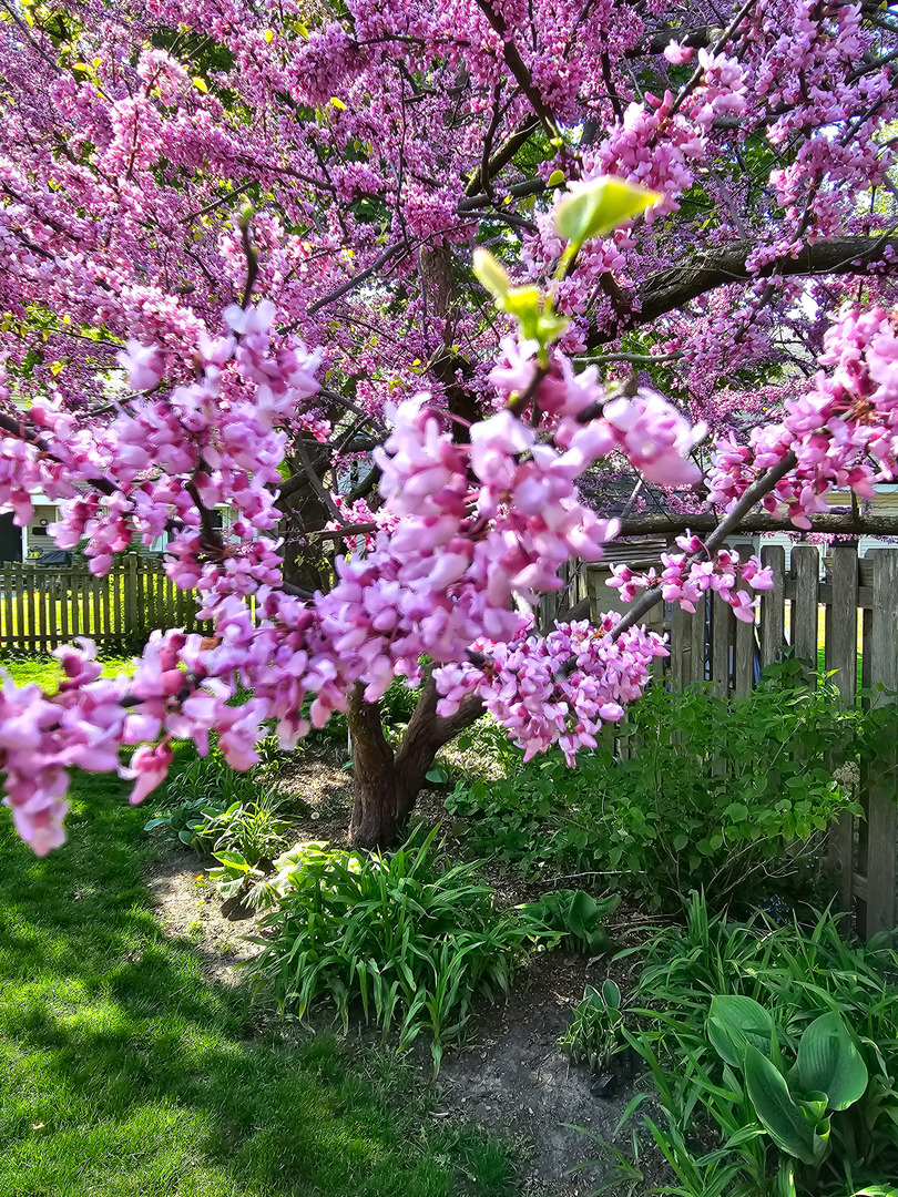 4 Athens Court, Vernon Hills, IL 60061