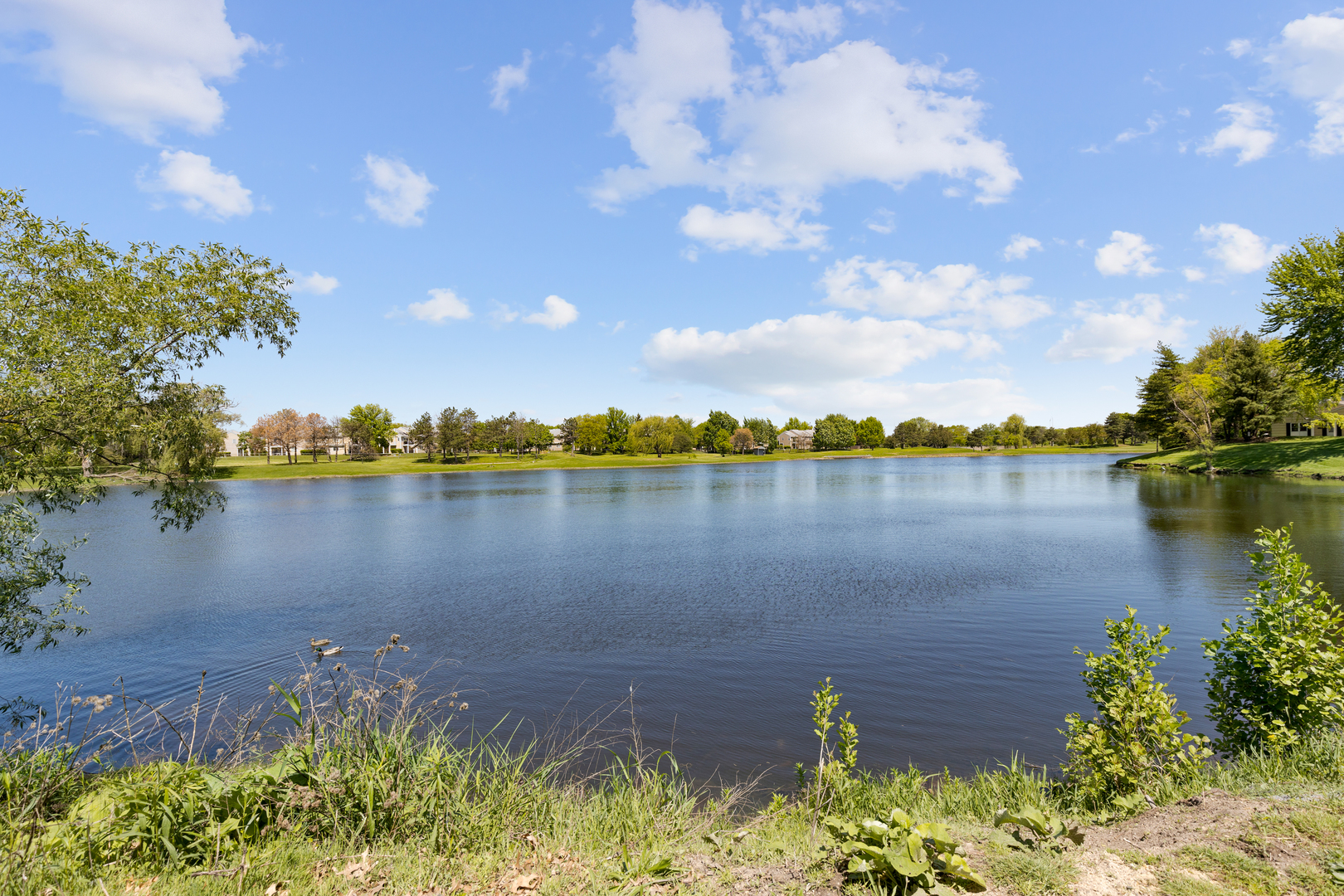 1809 Lancashire Court, Schaumburg, IL 60194