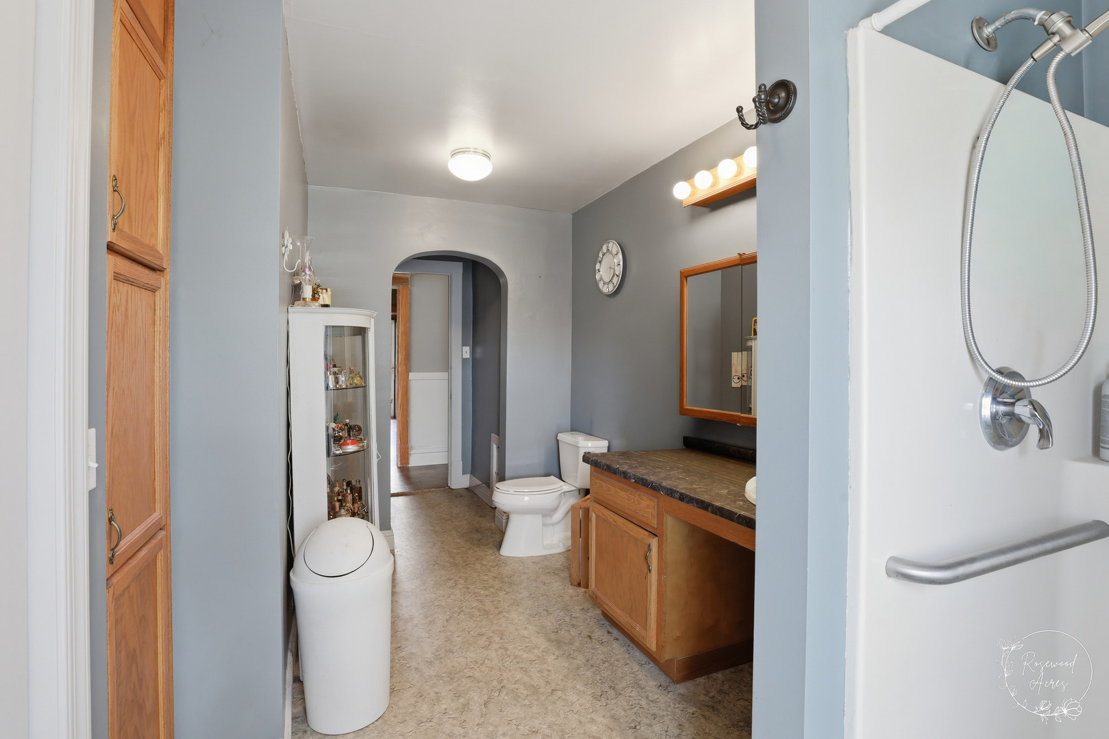 325 W Chippewa Street, Dwight, IL 60420