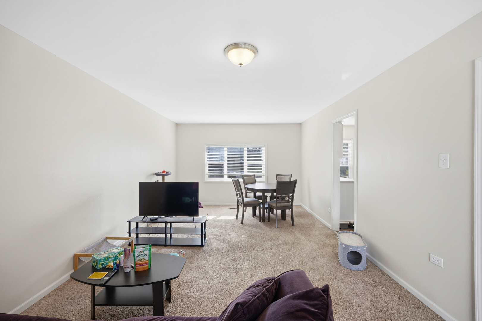 22106 E Churchill Drive, Richton Park, IL 60471