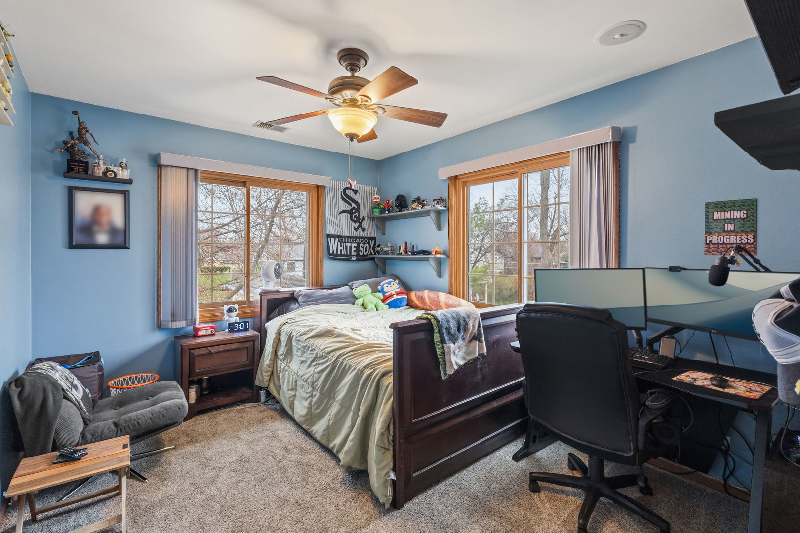 520 Birchwood Road, Frankfort, IL 60423