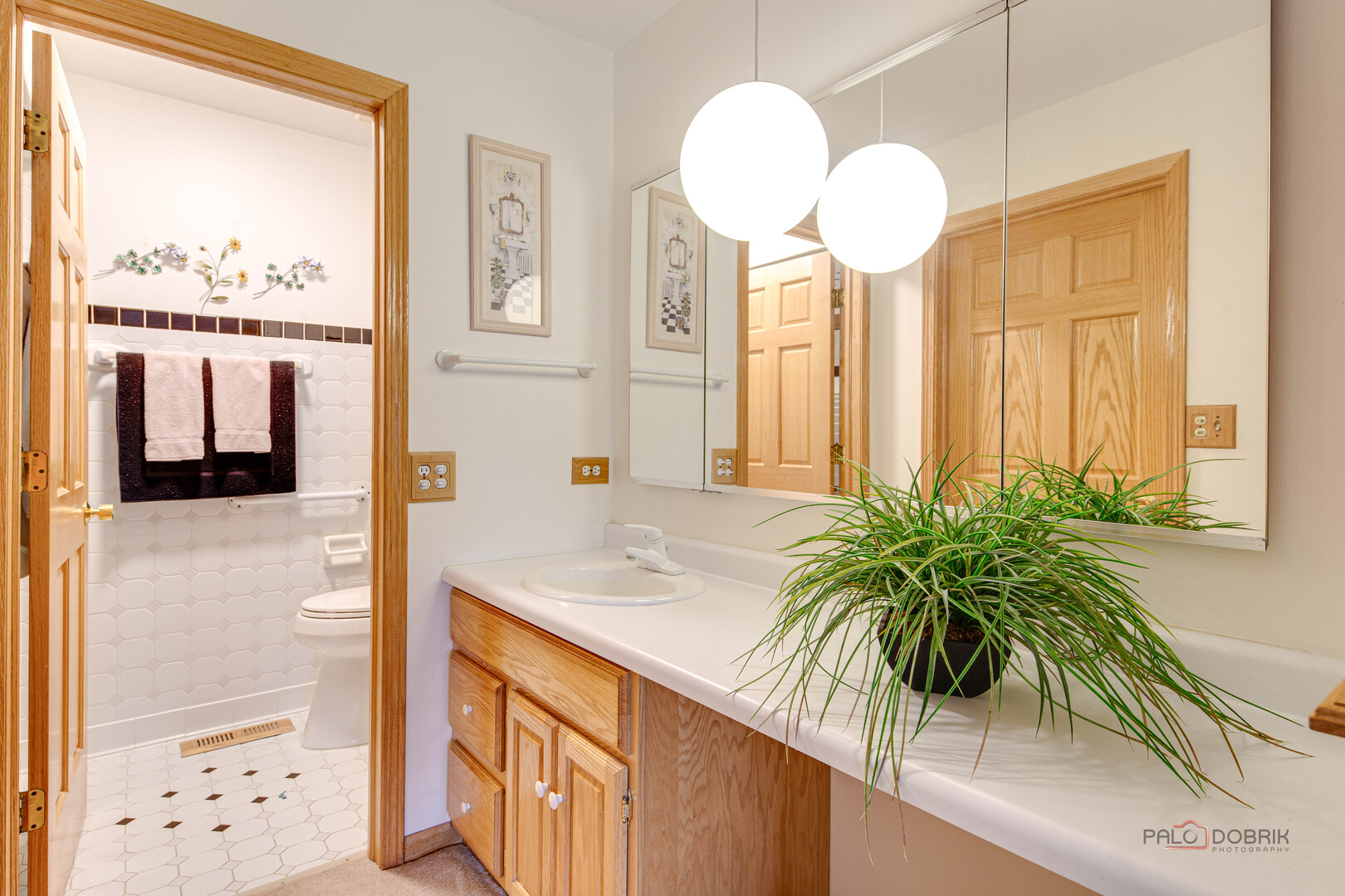 609 Thames Drive, Schaumburg, IL 60193