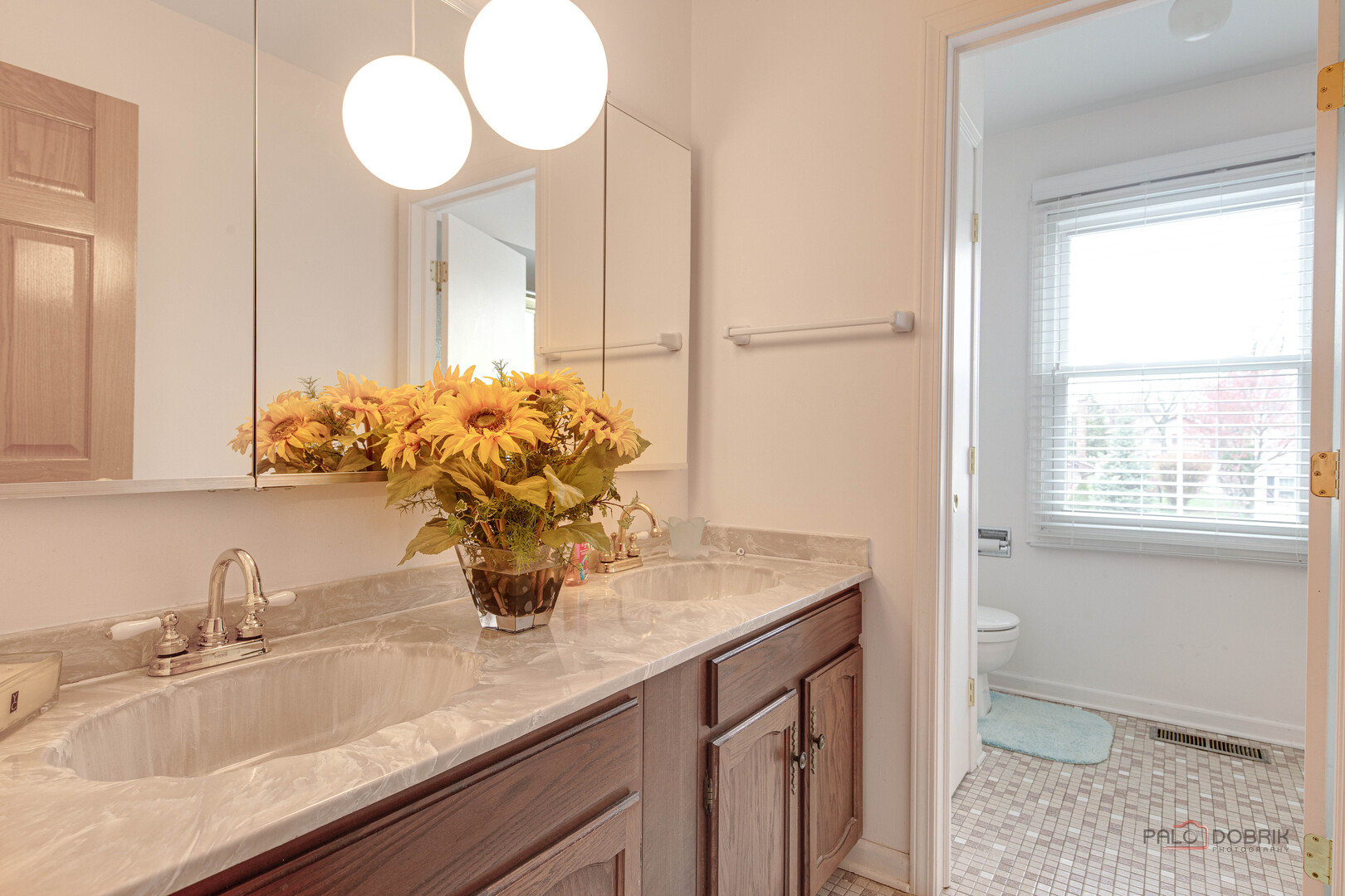 609 Thames Drive, Schaumburg, IL 60193