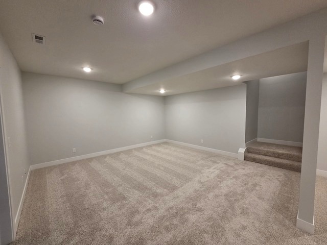 103 Bowz Drive, Downs, IL 61736