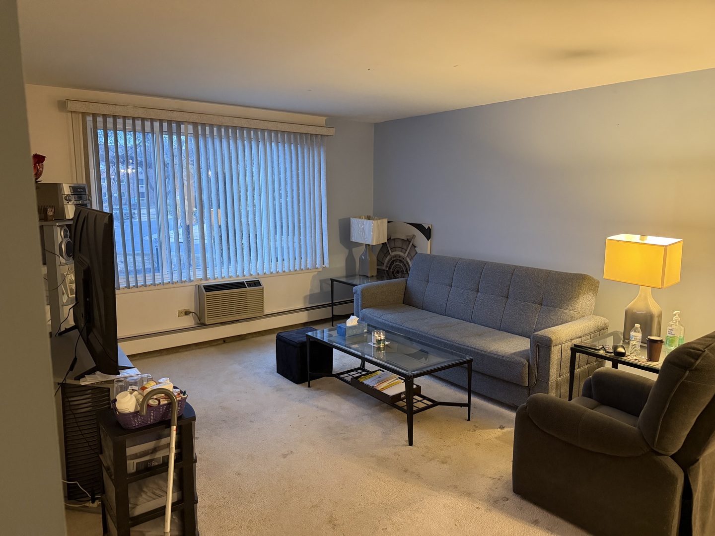 1475 Rebecca Drive #213, Hoffman Estates, IL 60169