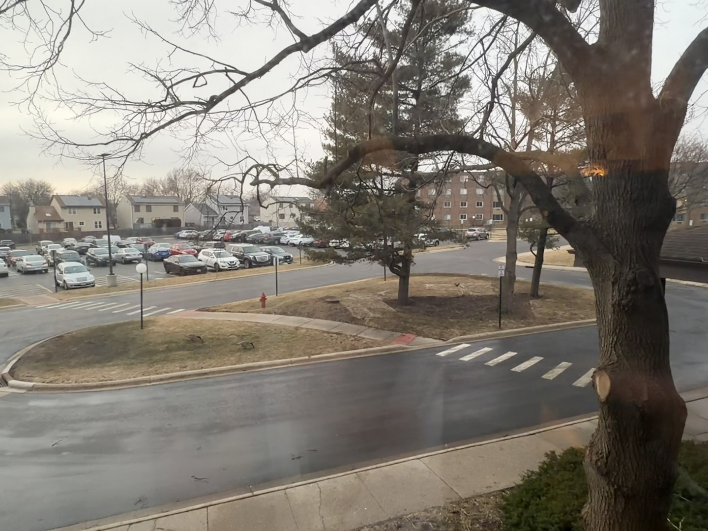 1475 Rebecca Drive #213, Hoffman Estates, IL 60169