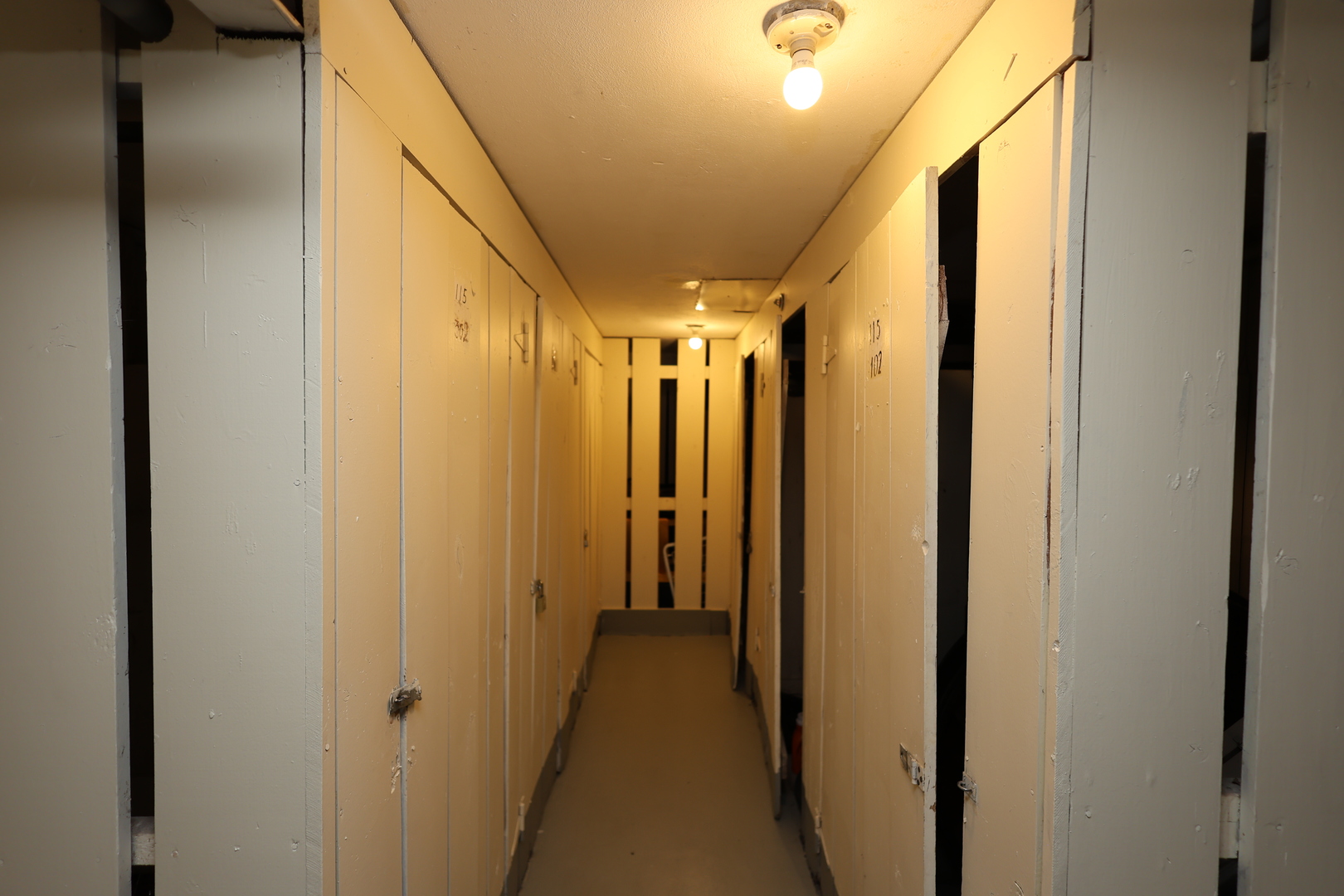 10115 Old Orchard Court #301, Skokie, IL 60076