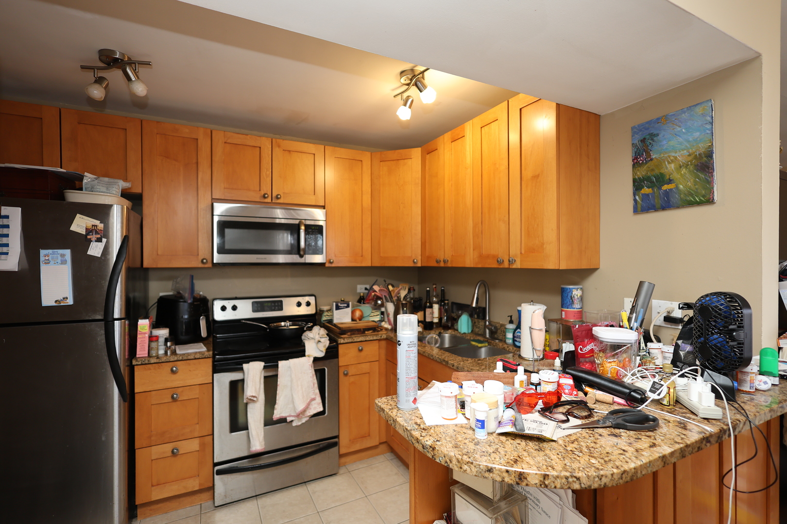 10115 Old Orchard Court #301, Skokie, IL 60076