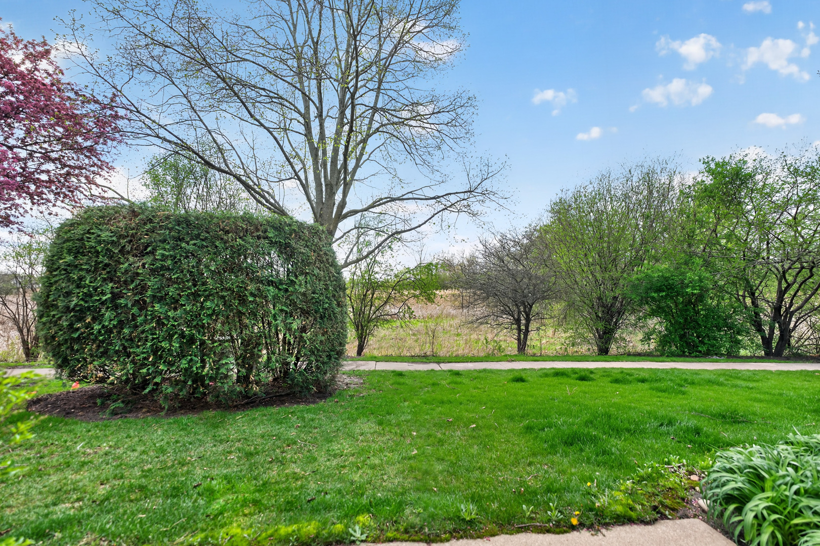 1760 Nature Court, Schaumburg, IL 60193