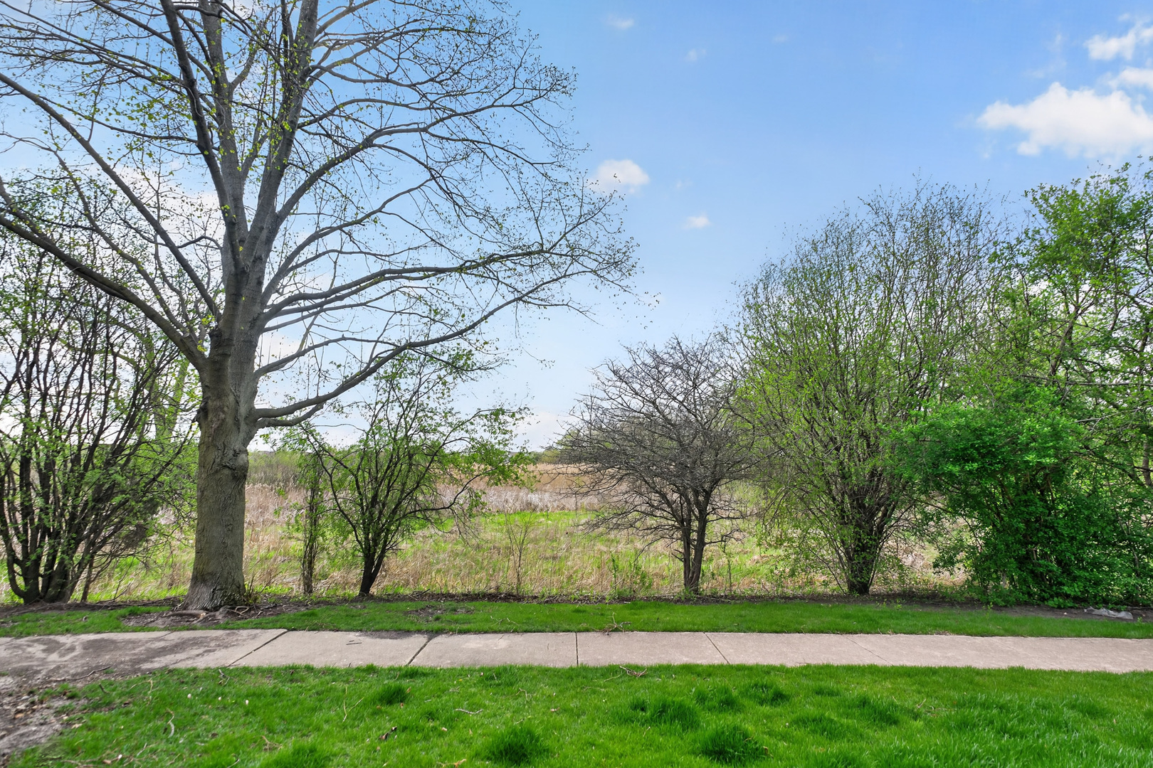 1760 Nature Court, Schaumburg, IL 60193