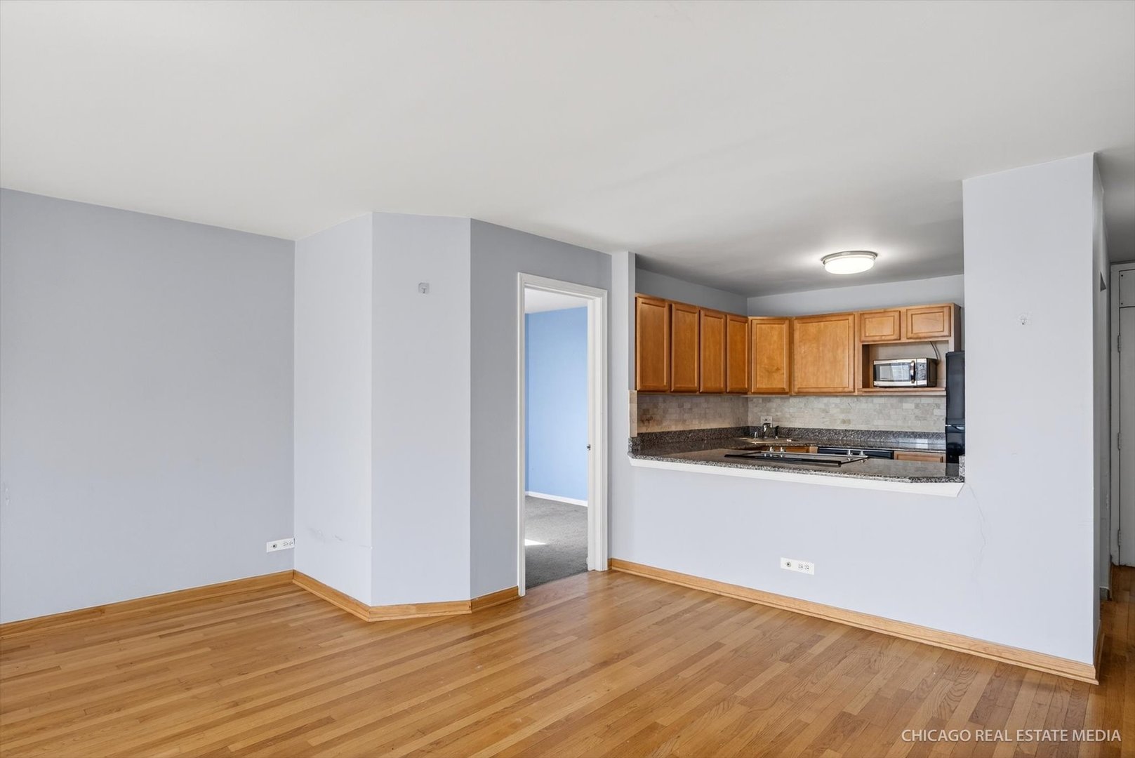 525 W Hawthorne Place #1001, Chicago, IL 60657