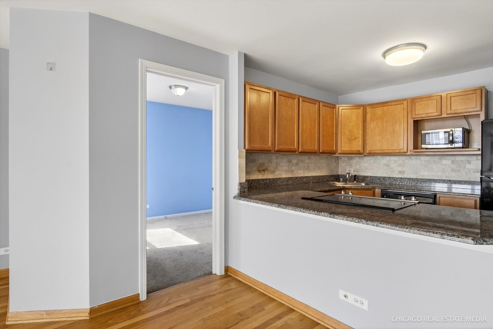 525 W Hawthorne Place #1001, Chicago, IL 60657