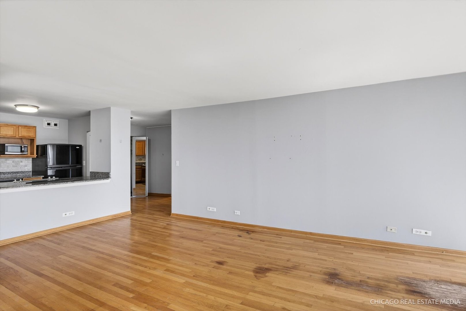 525 W Hawthorne Place #1001, Chicago, IL 60657