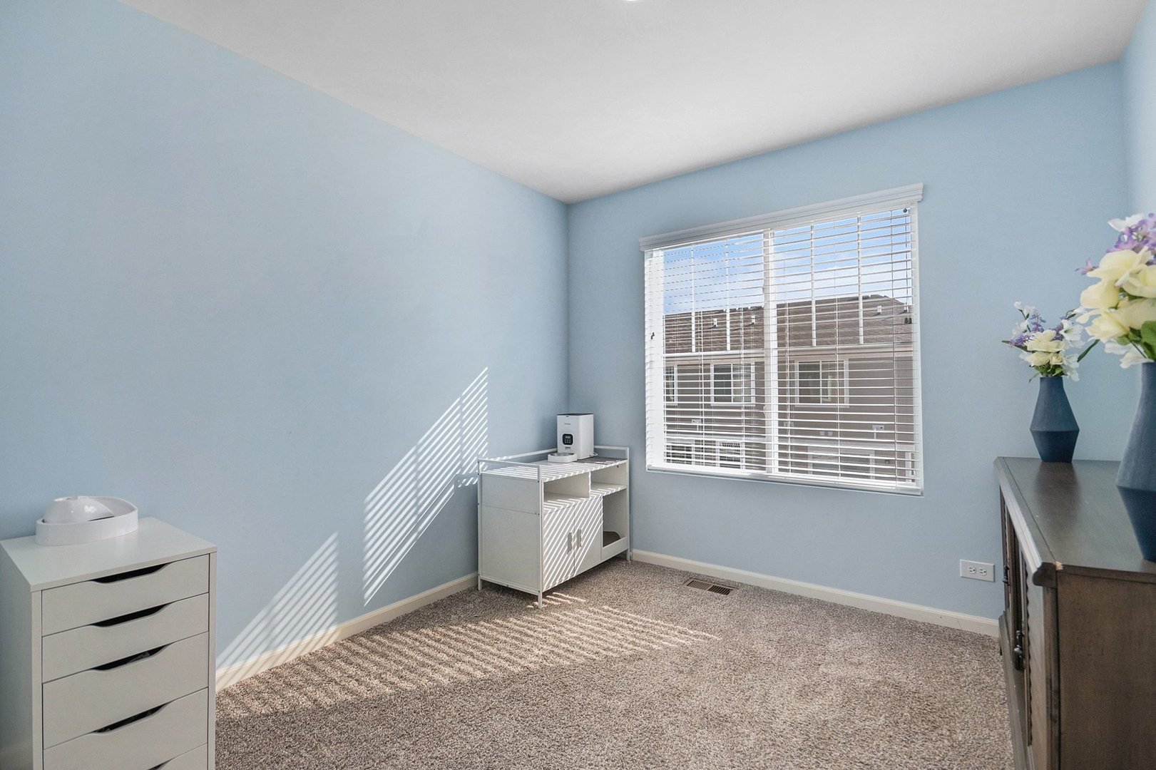 3825 Honeysuckle Lane, Elgin, IL 60124