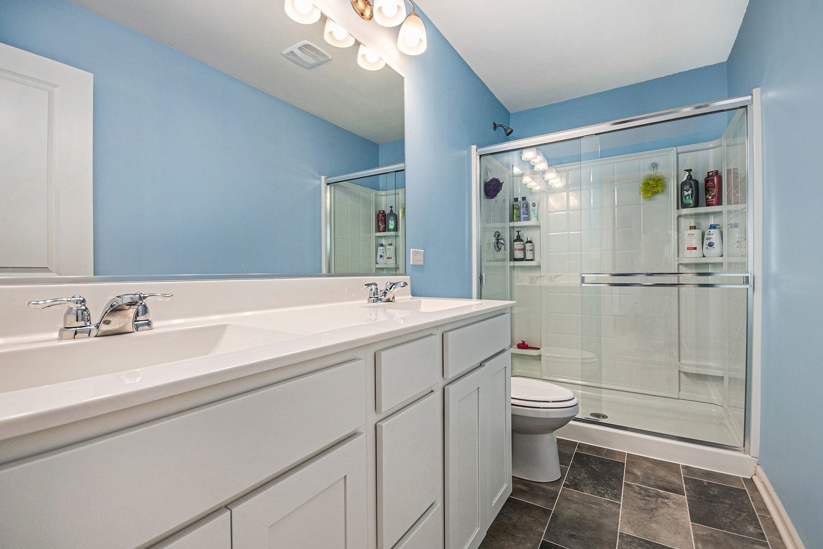 3825 Honeysuckle Lane, Elgin, IL 60124