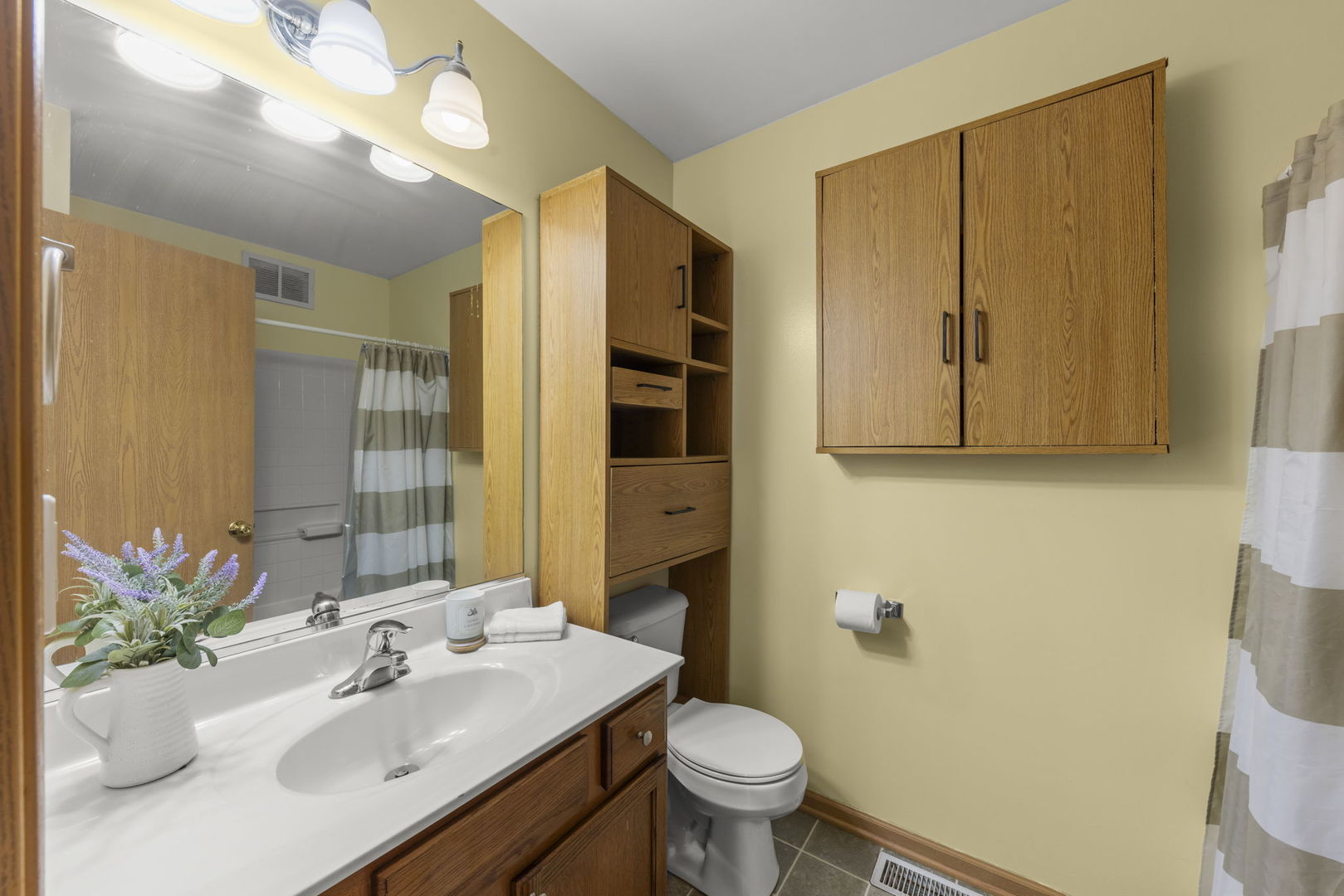 1719 Ravine Park Lane, Aurora, IL 60504