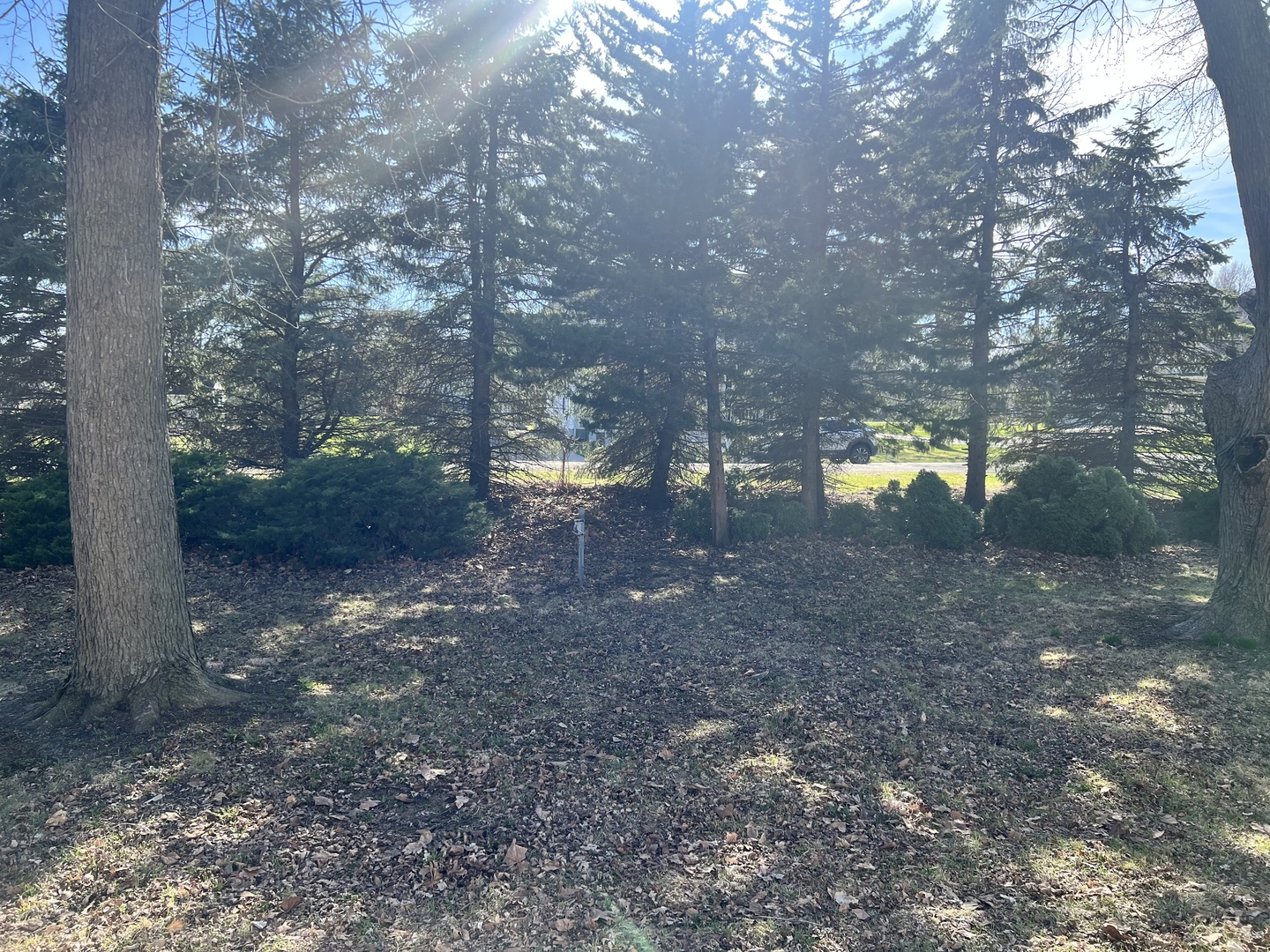 207 SW 6th Street, Atlanta, IL 61723