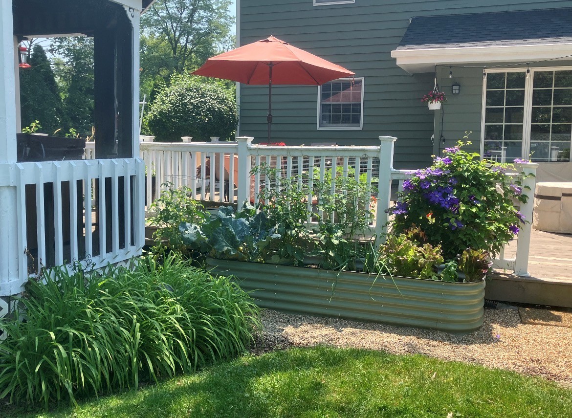 1740 Idlewild Lane, Homewood, IL 60430