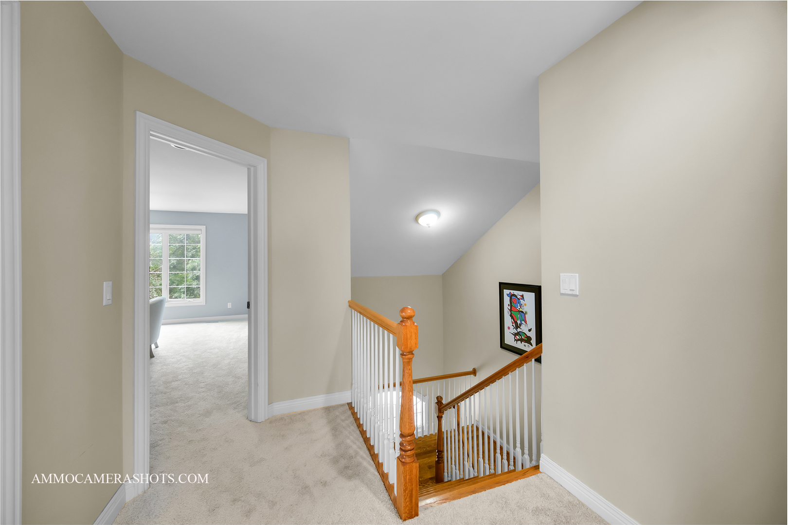 740 Manor Hill Place, Sugar Grove, IL 60554