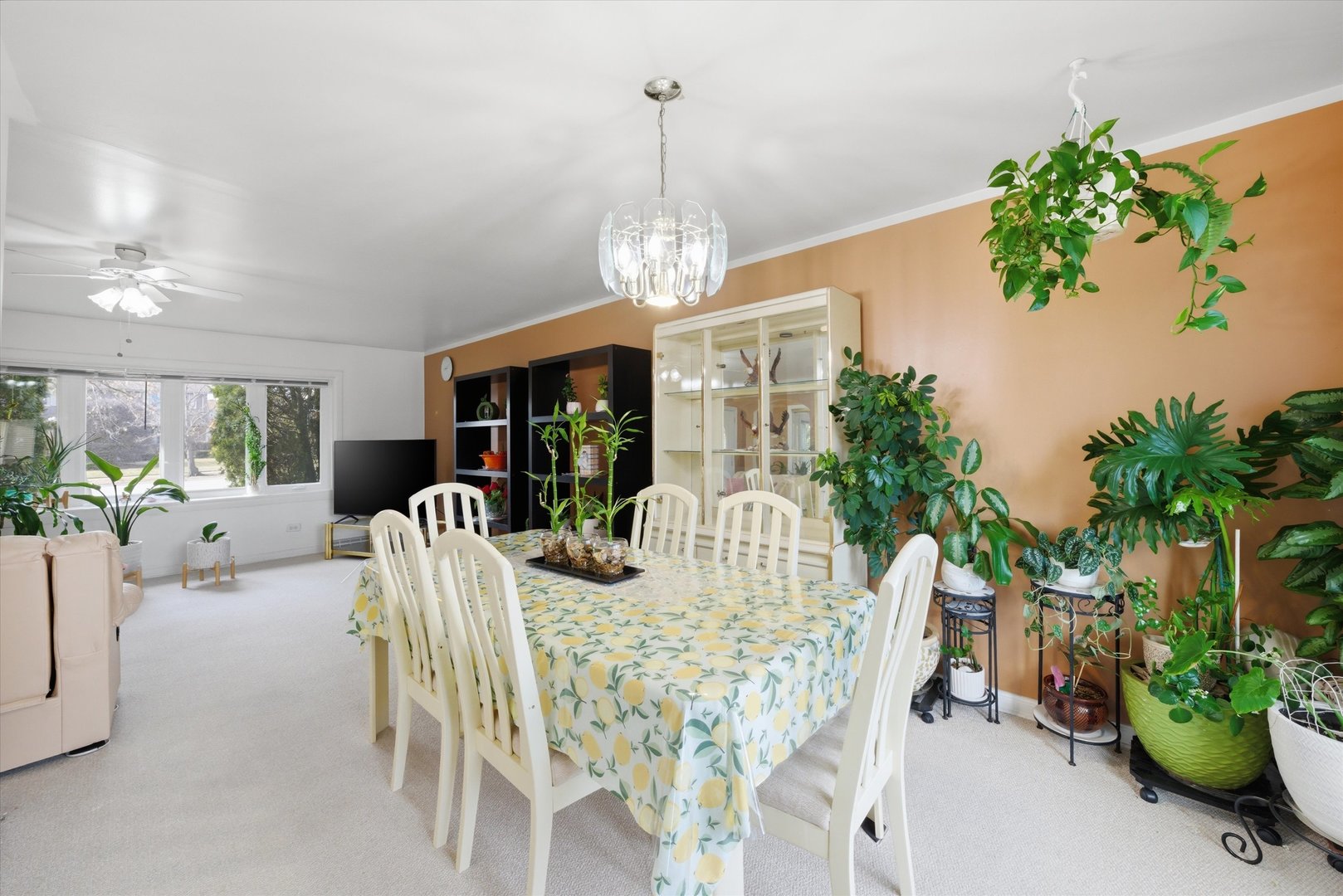 6252 157th Street, Oak Forest, IL 60452