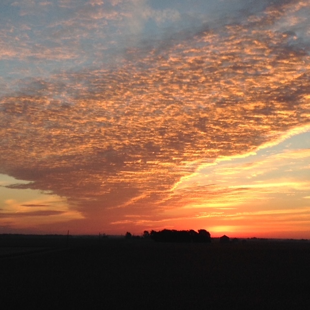 29679 Lagoon Road, Minier, IL 61759