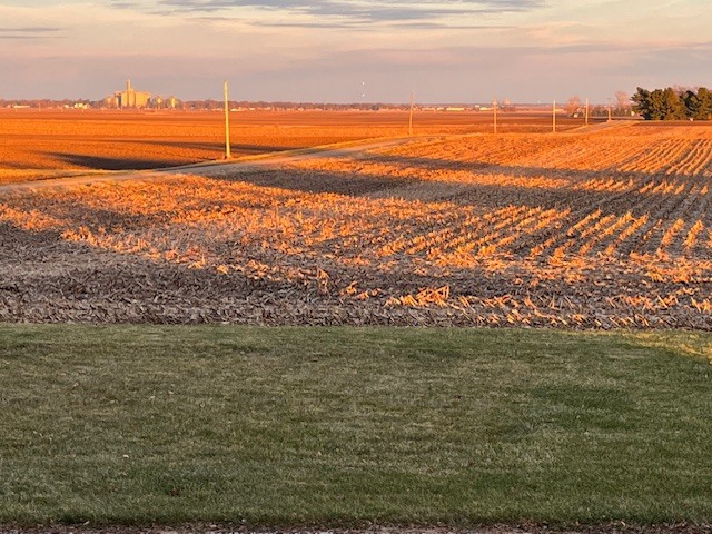 29679 Lagoon Road, Minier, IL 61759