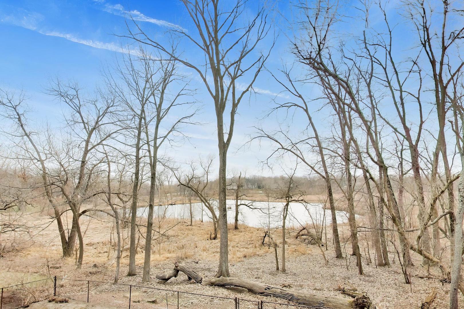 207 Lions Court, Lake Zurich, IL 60047