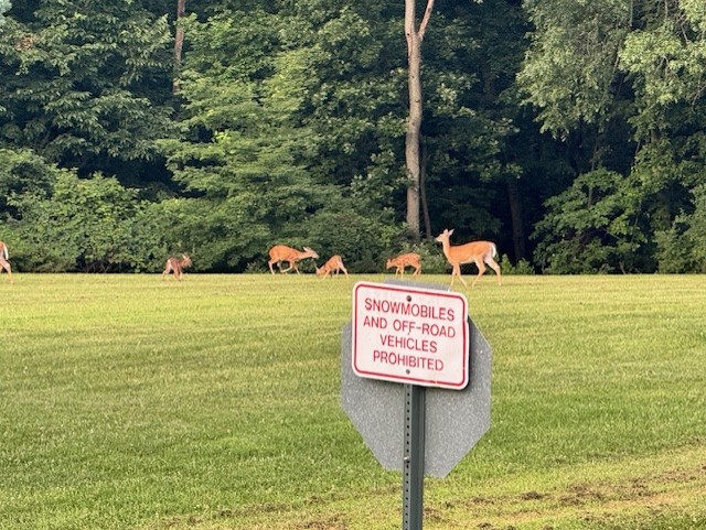 20 Chairtree Court, Putnam, IL 61560